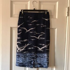 Anthropologie High Waisted Pencil Skirt